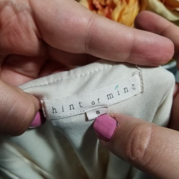 | hint of mint | tan lace bodice skater dress - Picture 4 of 5